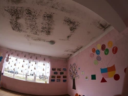 DCIM100GOPROGOPR0471.JPG