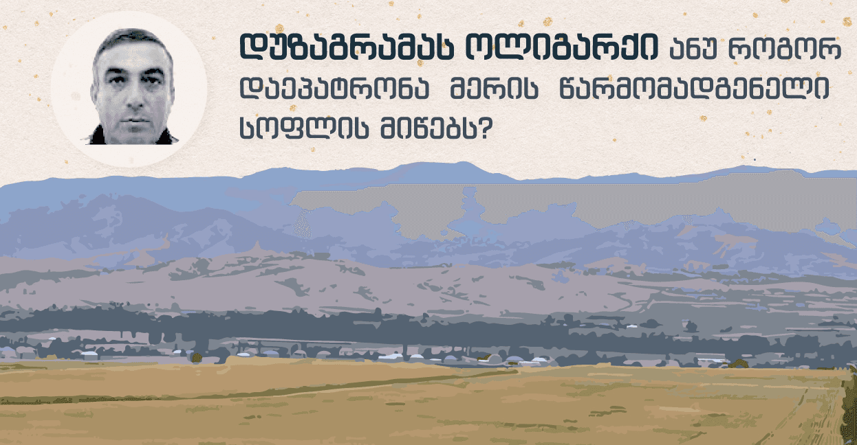 დუზაგრამას ოლიგარქი ანუ როგორ დაეპატრონა მერის წარმომადგენელი სოფლის მიწებს?￼￼